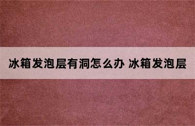 冰箱发泡层有洞怎么办 冰箱发泡层